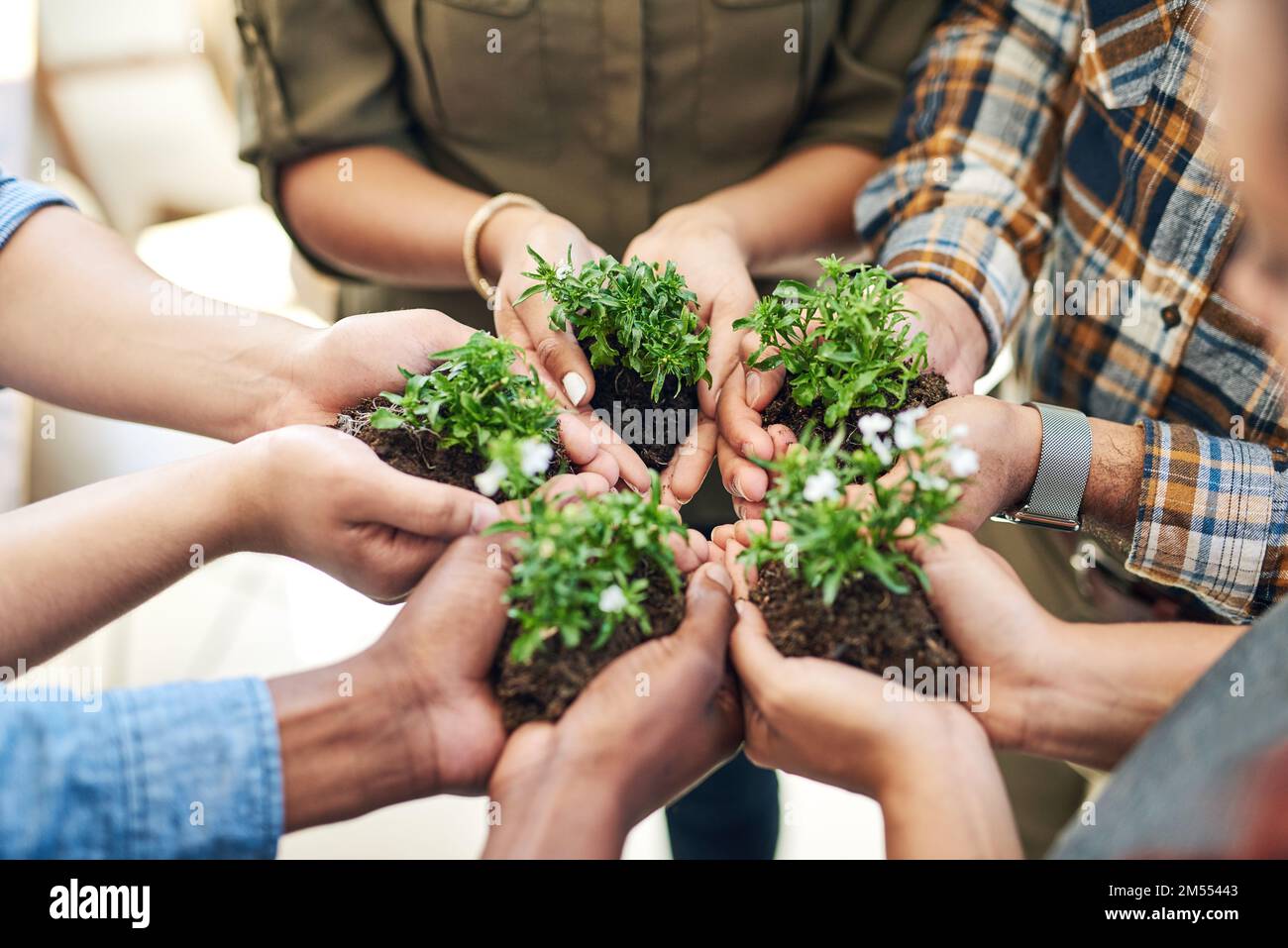 Success is a process to be nurtured. a team of colleagues holding a ...