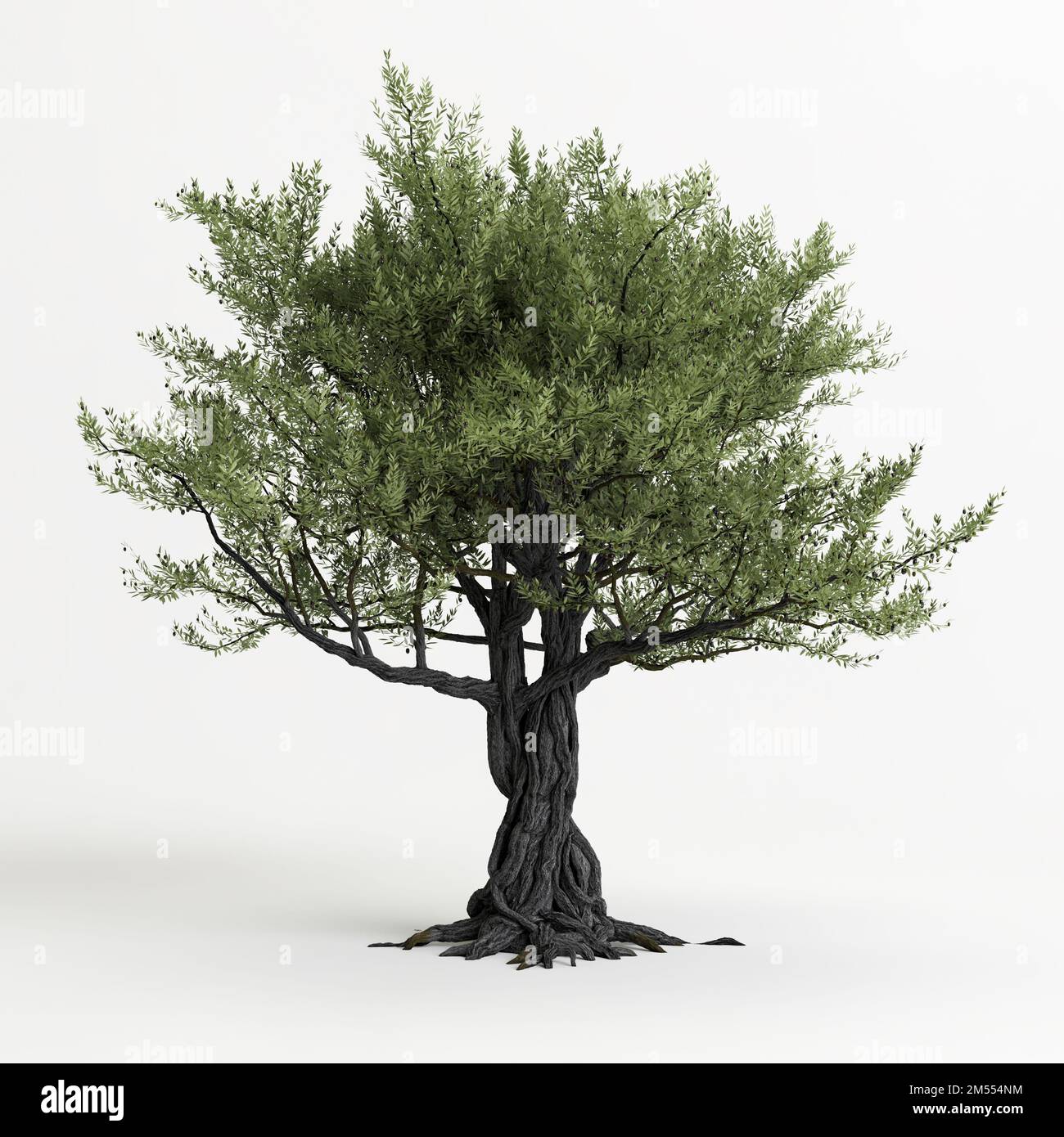 Un albero verde frondoso con un cielo blu sullo sfondo foto – Immagine  gratis di Sfondo su Unsplash, image size:1300x1390