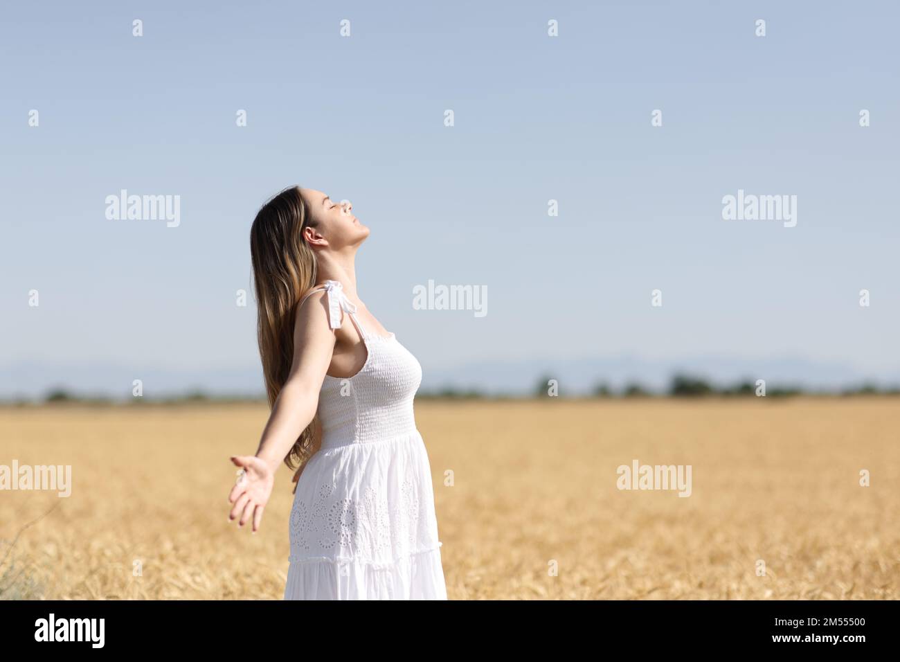 Profile of a woman breathing fresh air in white dress in a wheat field ...