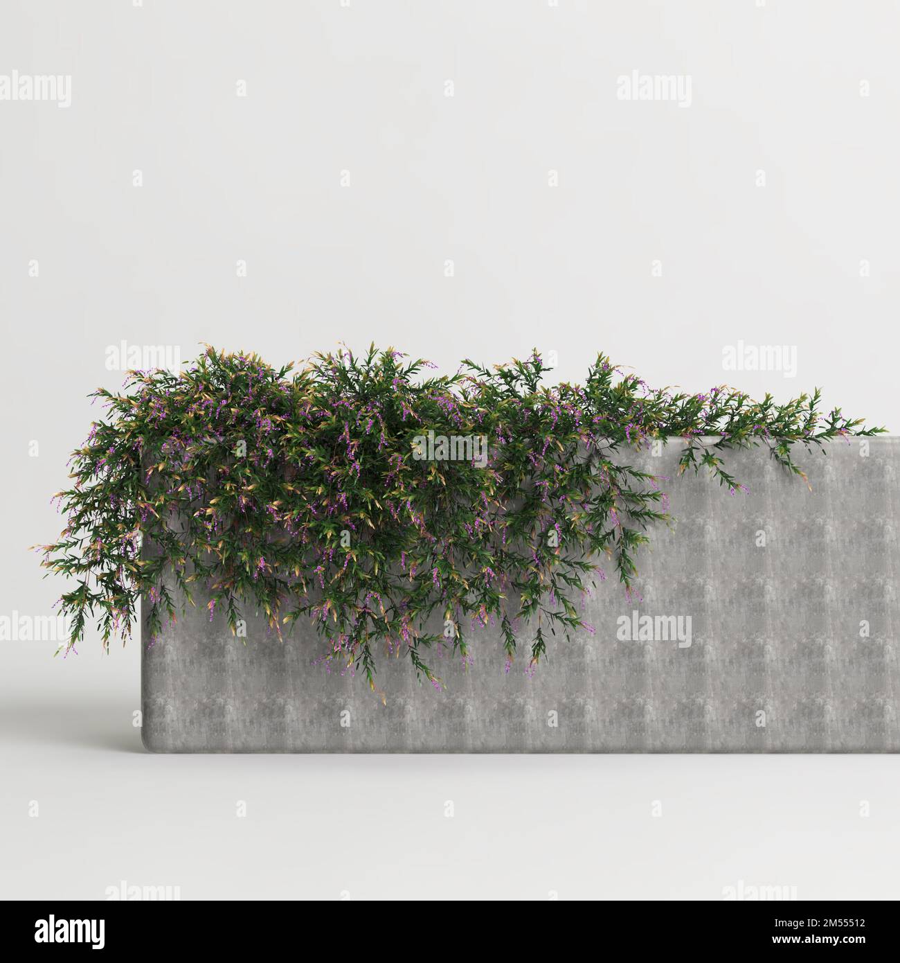3d illustration of ivy hanging isolated on white background Stock Photo ...