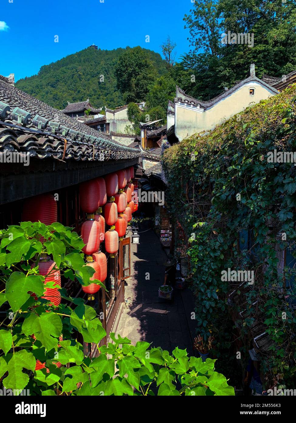 Hunan scenery hi-res stock photography and images - Alamy