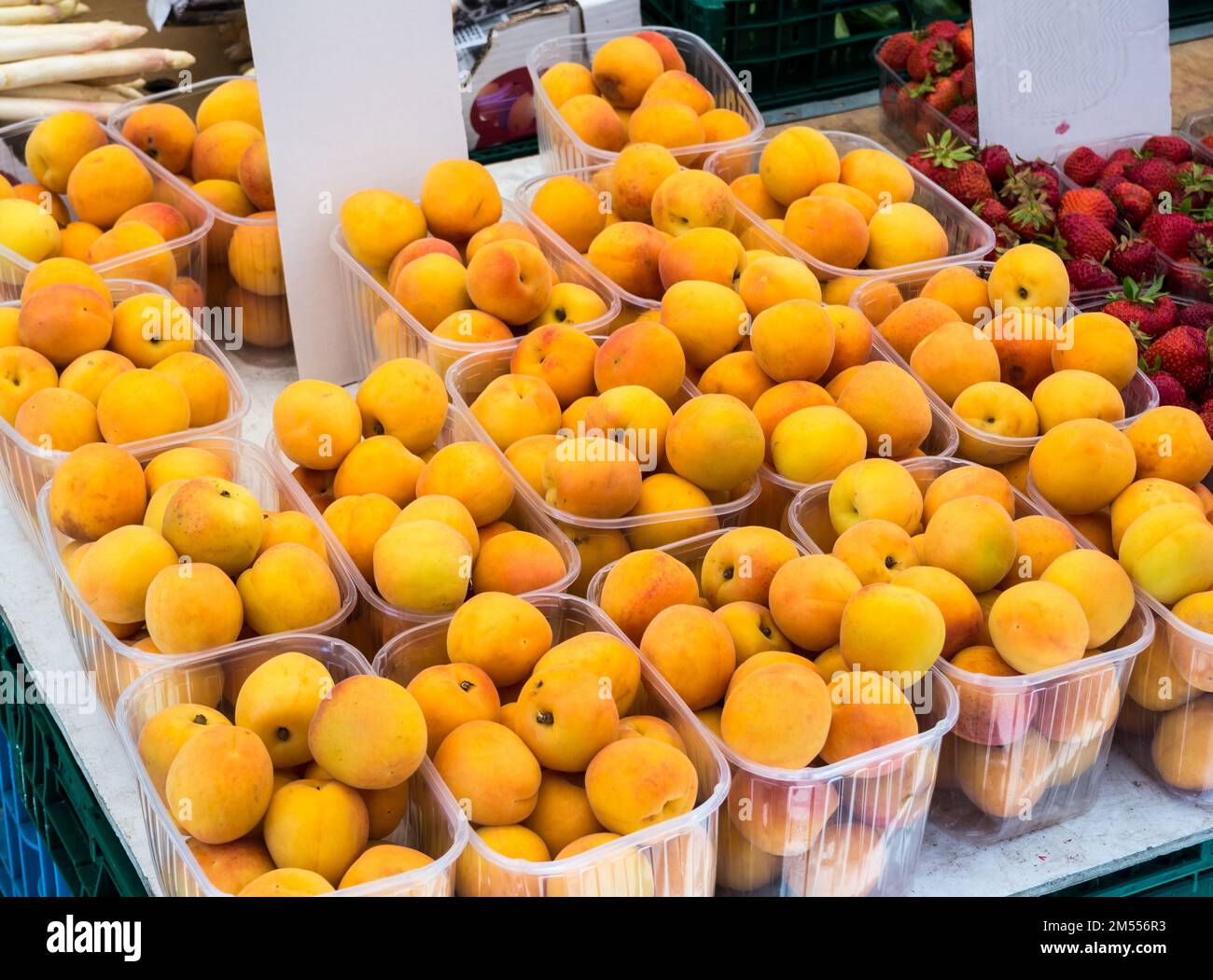 Apricot fruits in the market Stock Photo Alamy