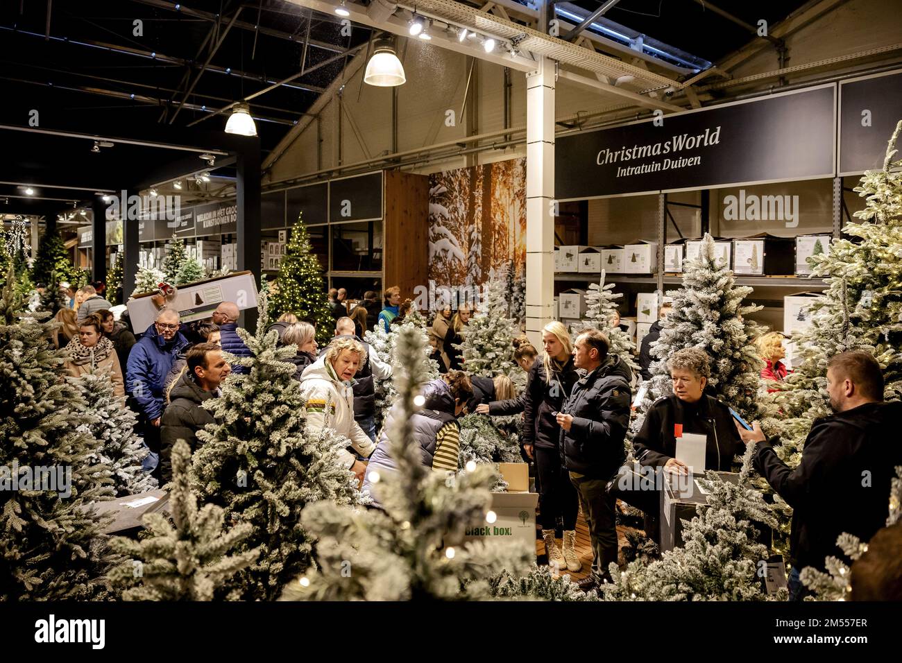DUIVEN - Visitors to a garden center view offers during the sale of  Christmas items. Every year, the sale here on Boxing Day attracts thousands  of bargain hunters. ANP ROBIN VAN LONKHUIJSEN