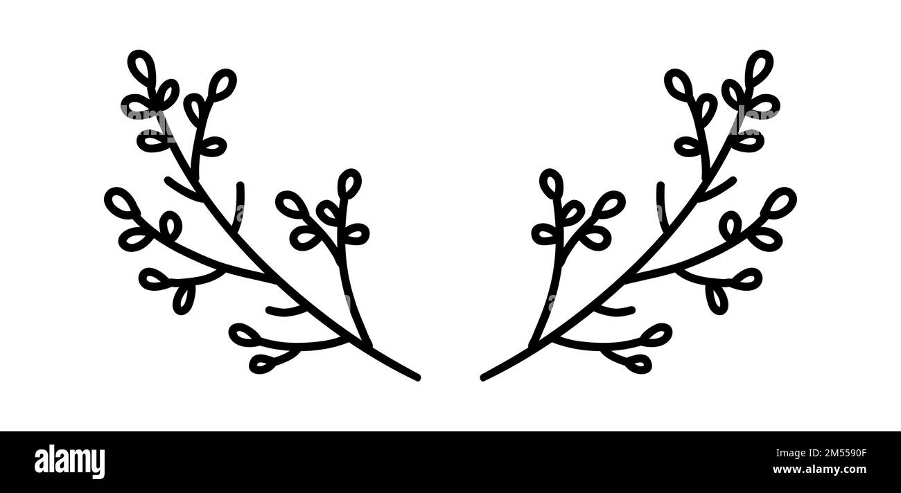 Doodle floral laurel. Hand drawn tree branches with leaves and flowers ...