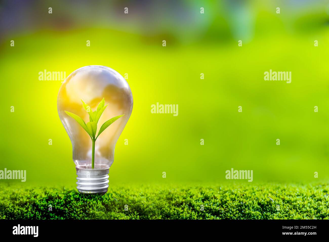 3D illustration Renewable energy concept Earth Day or environmental ...