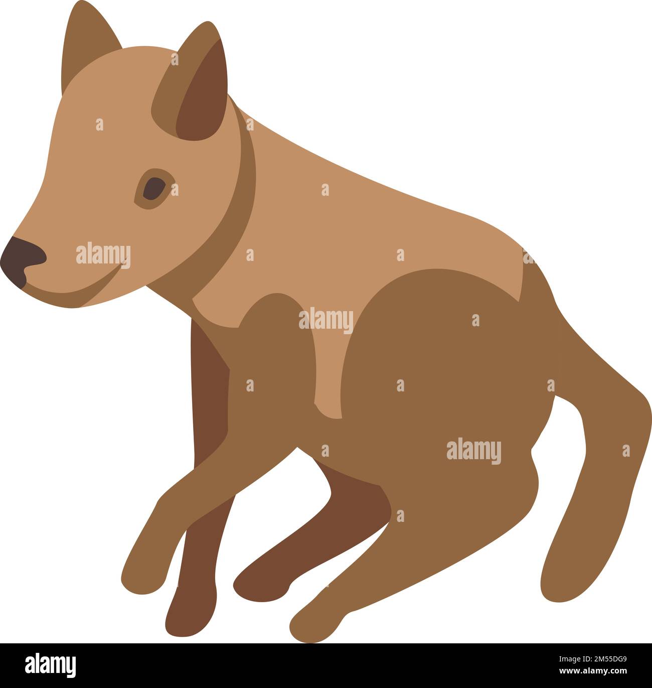 Baby wild dog icon isometric vector. Animal mammal. Safari predator