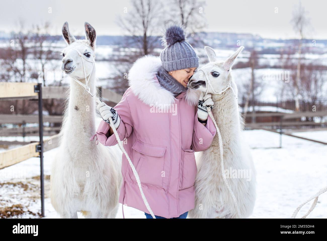 Girl and llama hi-res stock photography and images - Alamy
