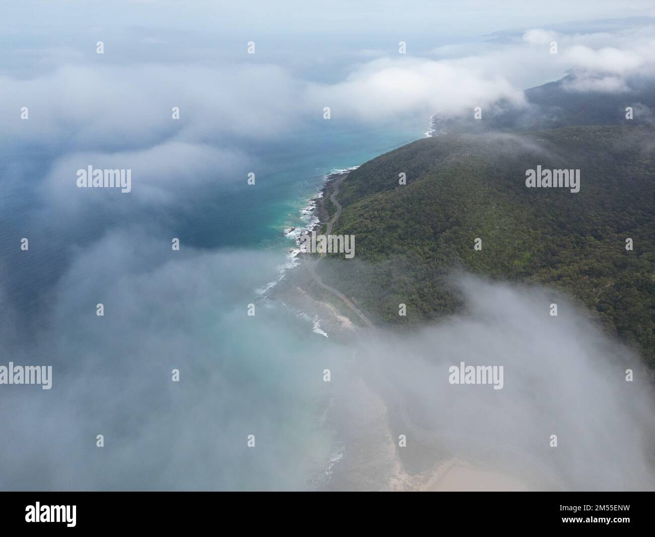 An aerial view of ocean with beach surrounded by dense trees Stock ...