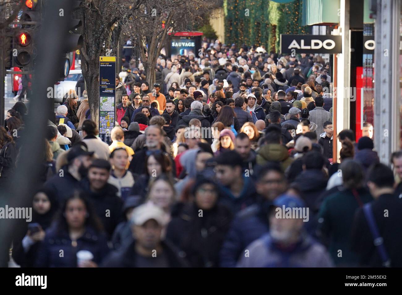 Aldo boxing shop day sale 2018