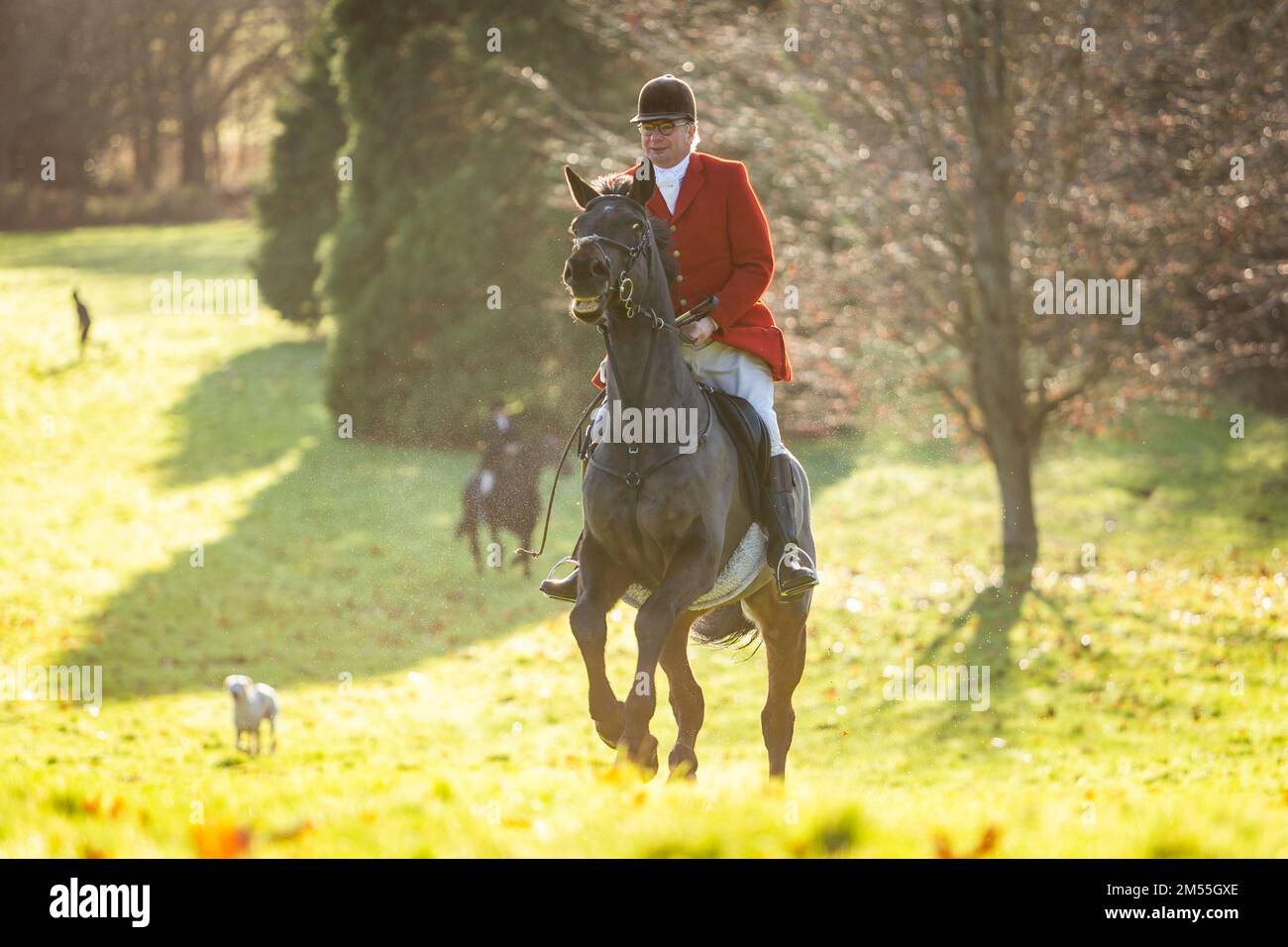 Hagley, Worcestershire, UK. 26th Dec, 2022. Horse and rider take to the field at the Albrighton and Woodland Hunt as they meet for the traditional Boxing Day hunt at Hagley Hall. Worcestershire, on a bright and sunny day. Credit: Peter Lopeman/Alamy Live News Stock Photo