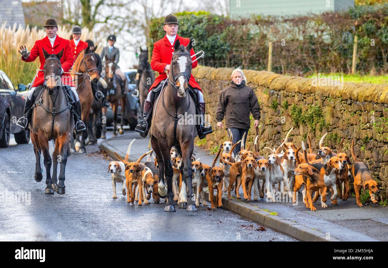 Bolton, Lancashire.  26th December, 2022: Traditional Boxing Day being staged in the picturesque village of Pleasington, near Blackburn, where Horses and riders gather for the annual Boxing Day Hunt. The annual event staged by the Holcombe Hunt was attended by hundreds of people in cold sunny conditions who had come to enjoy the traditional spectacle. The event saw the  Hunt’s prized pack of rare Stud Book Harriers Beagles taking part in a demonstration of trail laying. Credit; MediaWorldImages/AlamyLiveNews Stock Photo