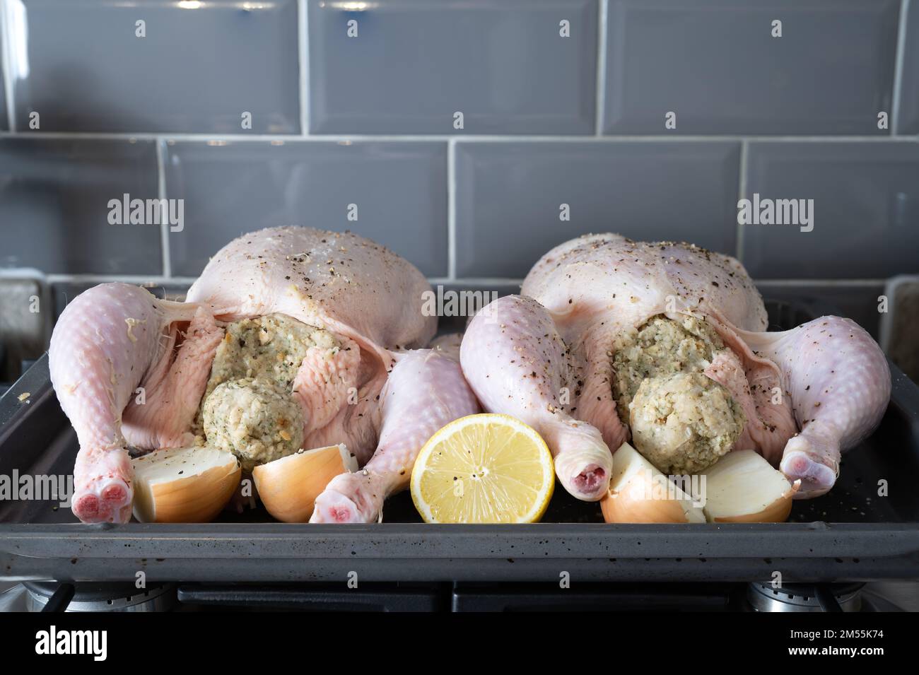 two large poultry chickens preared and seasoned oven ready Stock Photo