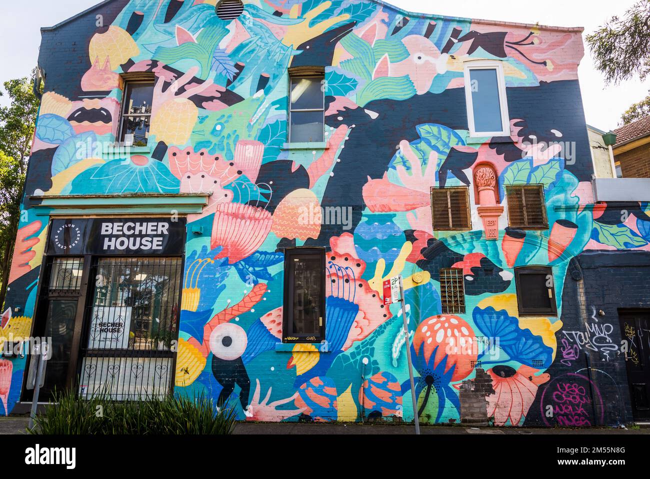 House covered with graffiti art in Newtown, a popular inner west suburb
