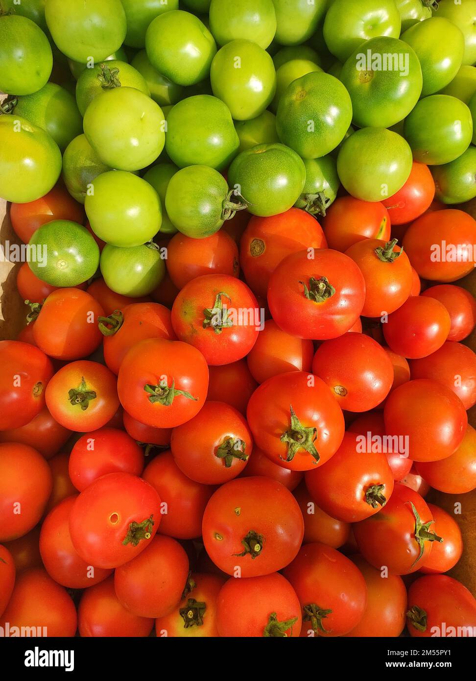 A top view of green and red tomatoes Stock Photo - Alamy