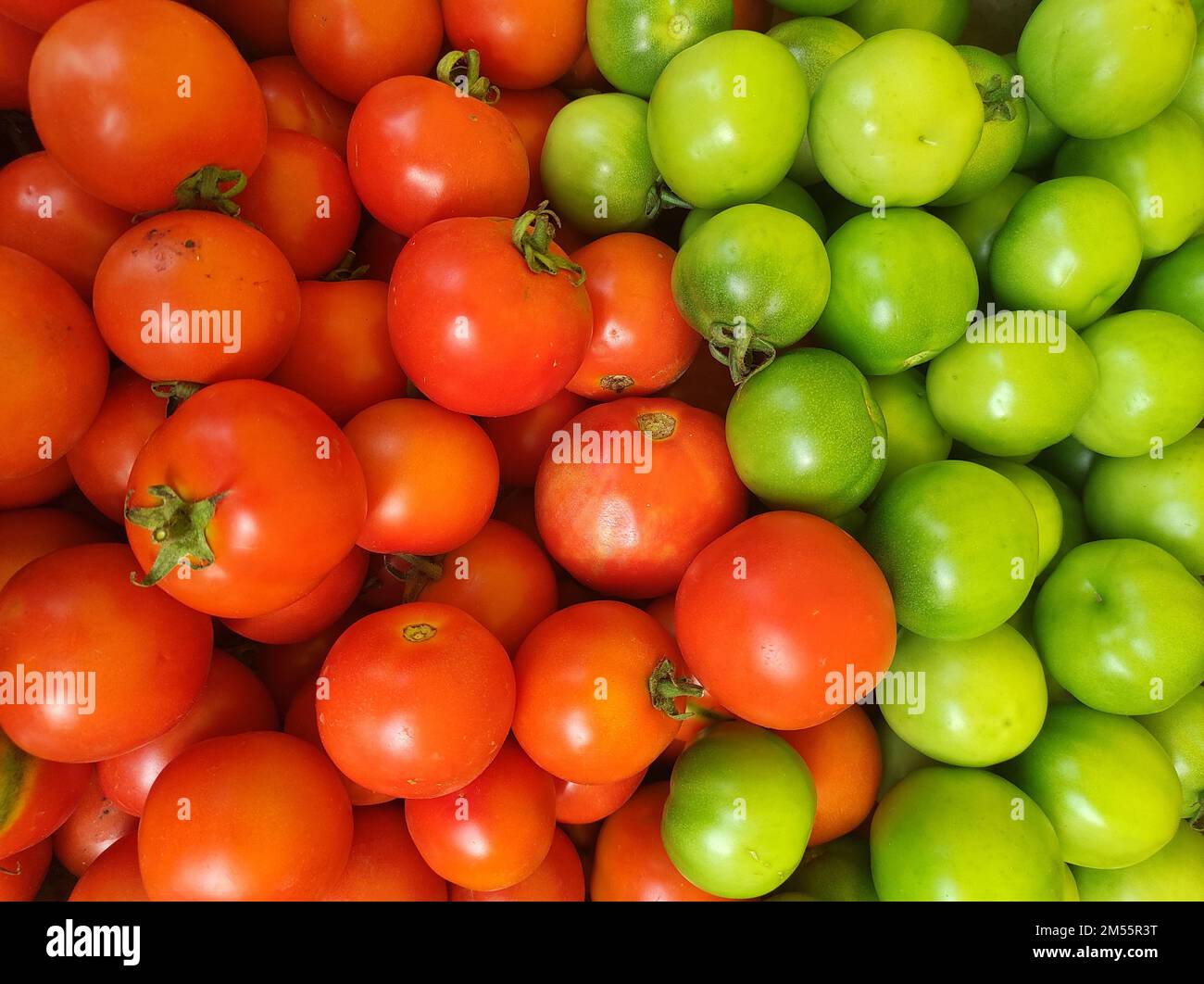 A top view of green and red tomatoes Stock Photo - Alamy