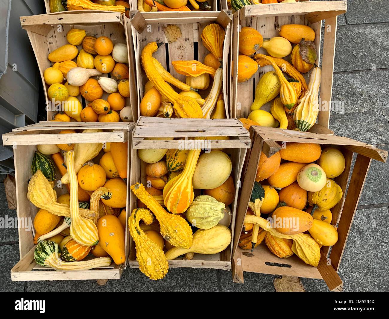 pile of different yellow and orange ornamental pumpkins Stock Photo - Alamy