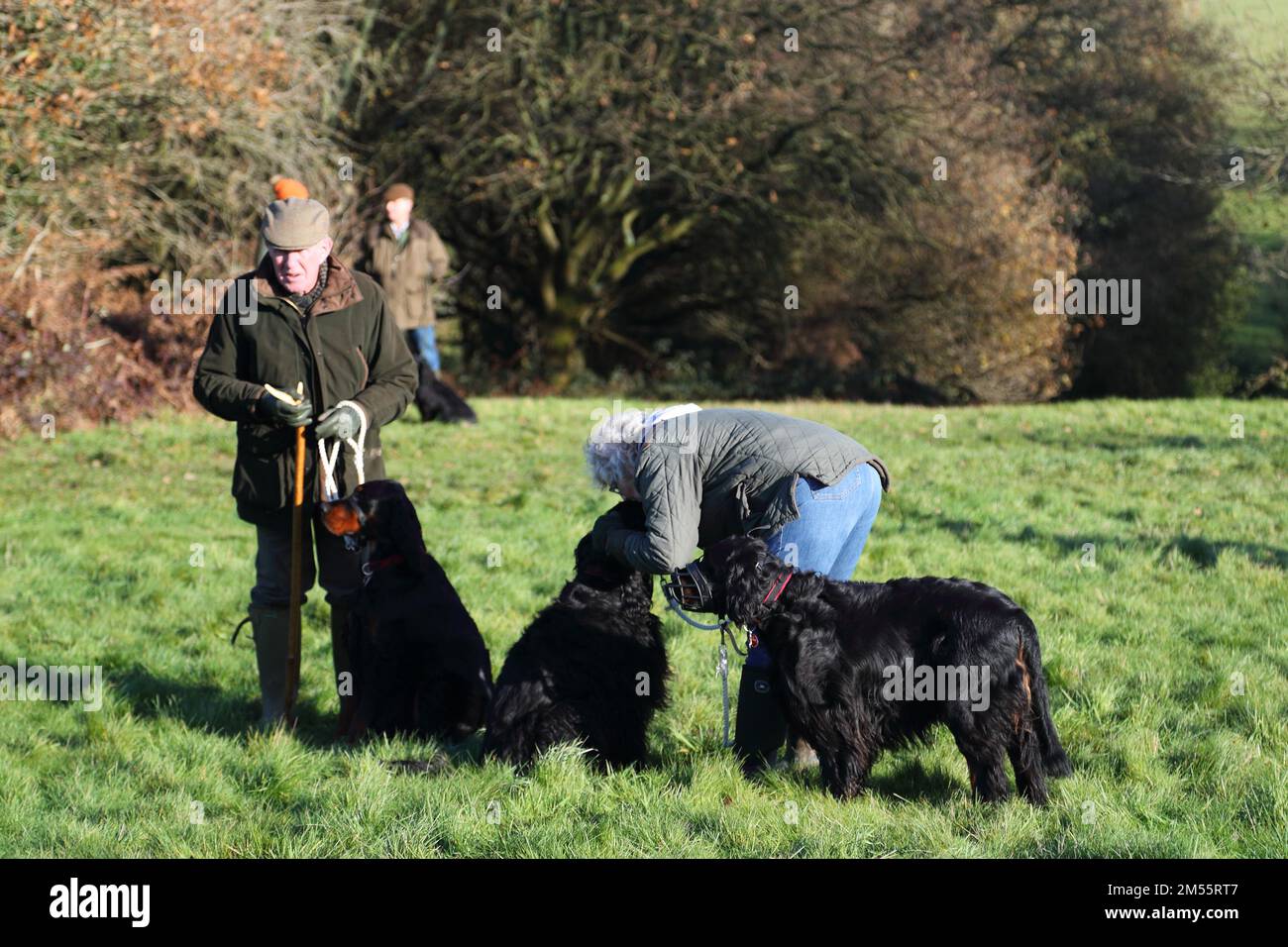 Hawridge, Chesham, UK. 26th Dec, 2022. Alarge number of spectators came with their dogs to watch the spectacle. Credit: Uwe Deffner/Alamy Live News Stock Photo