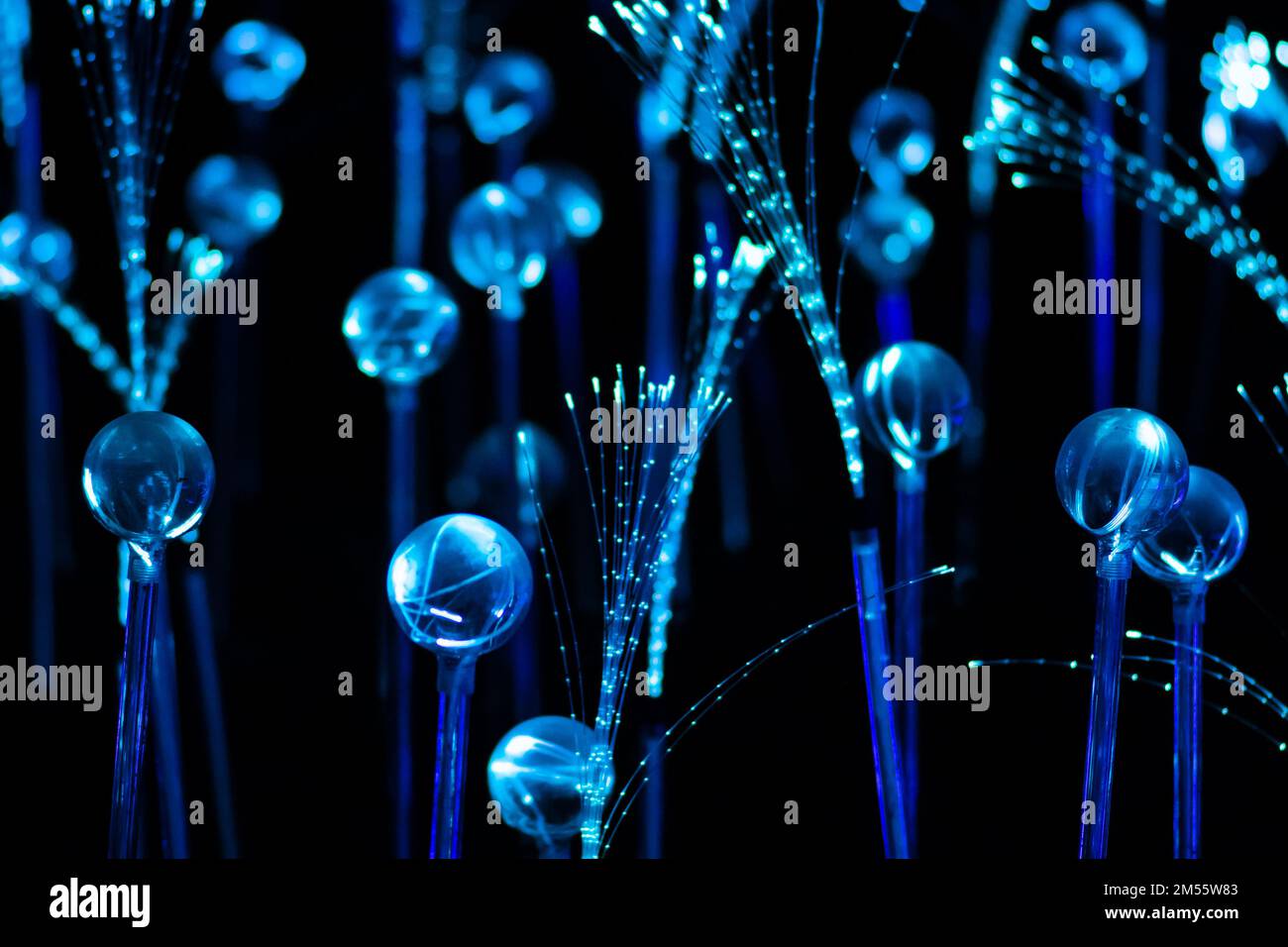 Blue fiber optic strands or filaments creating a magic fantastic