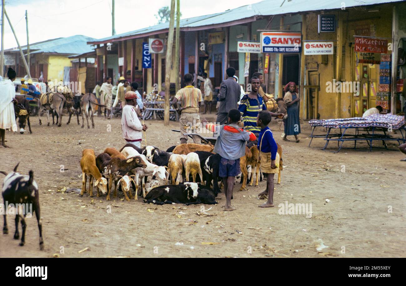 Ethiopia, 1970s, Mojo village, people, children, goat flock, shops, dirt street, Oromia region, East Africa, Stock Photo