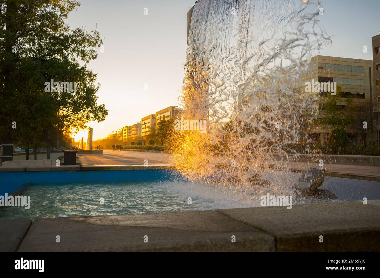 Vial Norte fountains at sunset. Córdoba, Andalusia, Spain Stock Photo