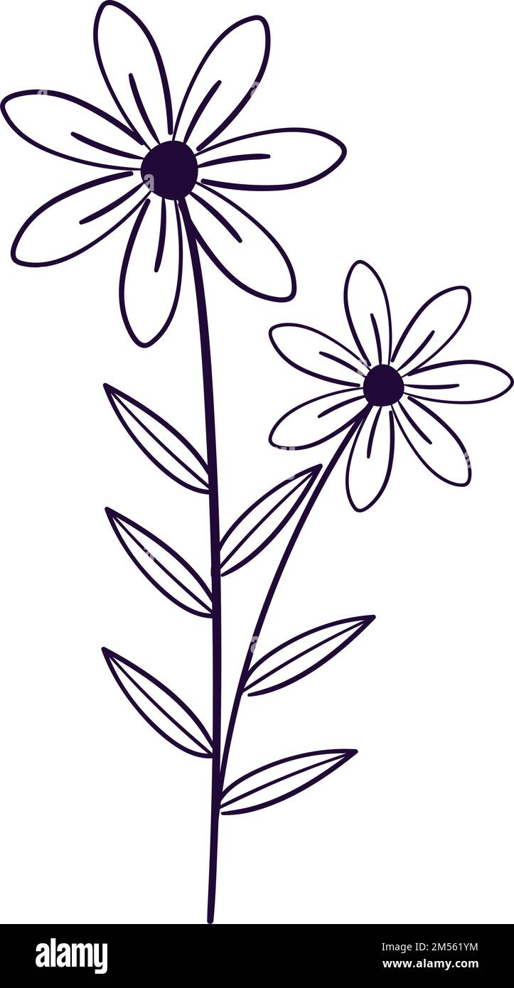 doodle flowers isolated Stock Vector Image & Art - Alamy