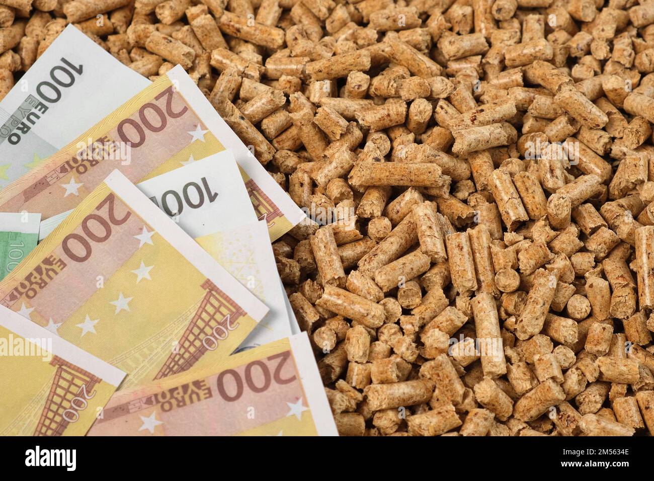 Pellet Fuel. Wood Sawdust Pellets and Paper Banknotes, Money. Euro Currency and Biofuel Compacted Briquettes. Substitute to Coal, Charcoal. World Gas Stock Photo