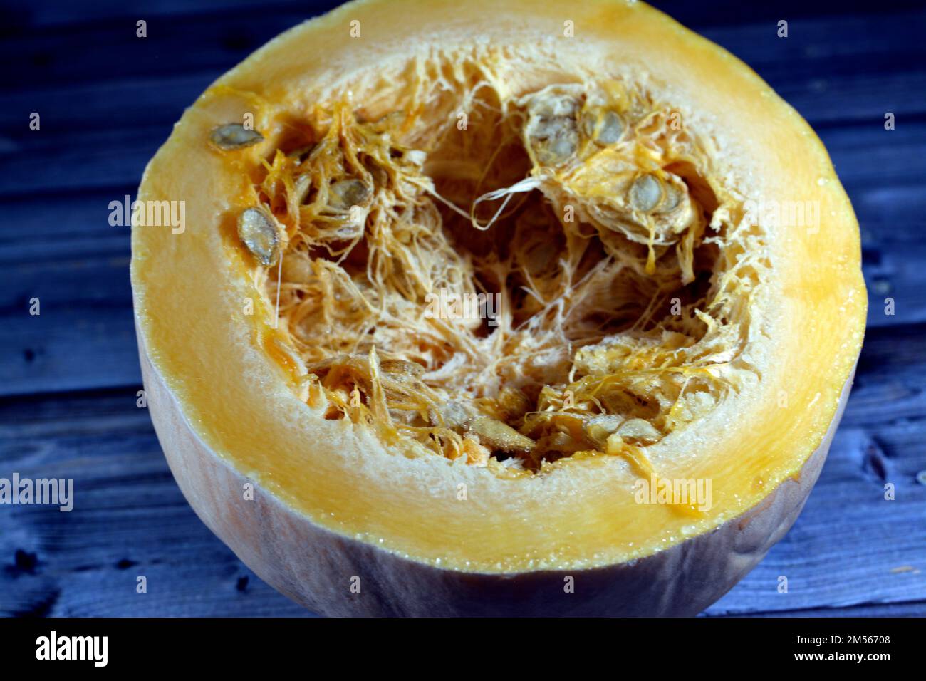 squash, pumpkin, or gourd, Cucurbita is a genus of herbaceous fruits in