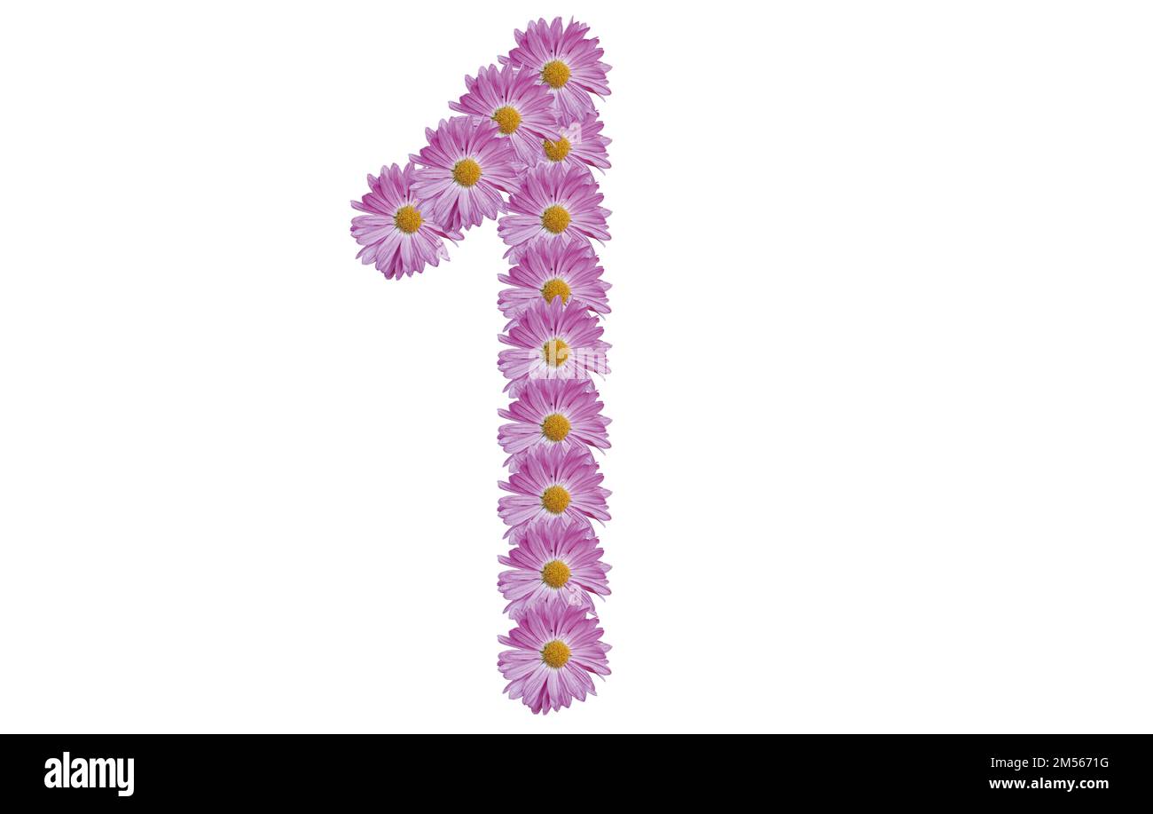 Number one made with pink flower isolated on white background. Spring concept idea. Stock Photo