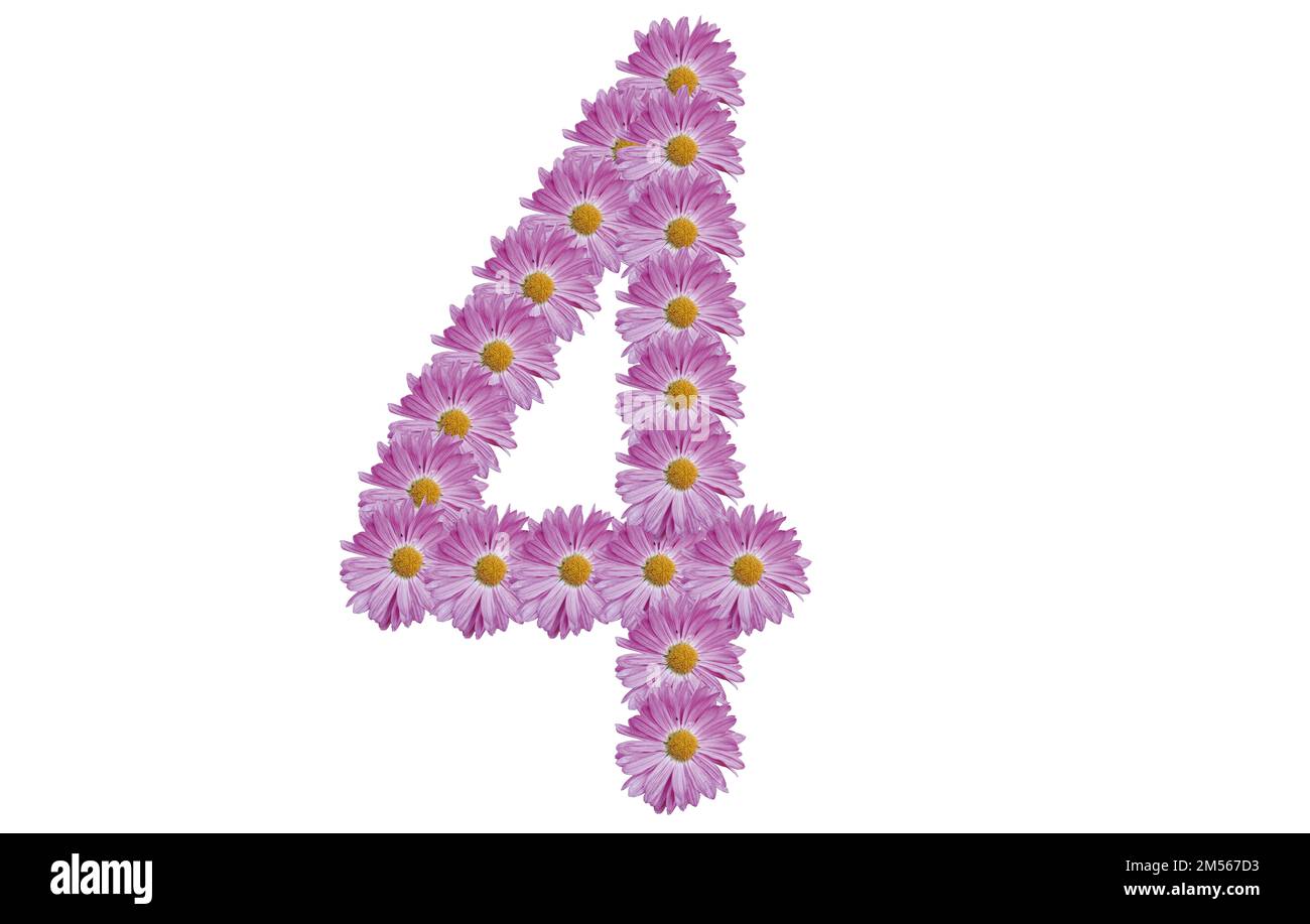 Number four made with pink flower isolated on white background. Spring concept idea. Stock Photo