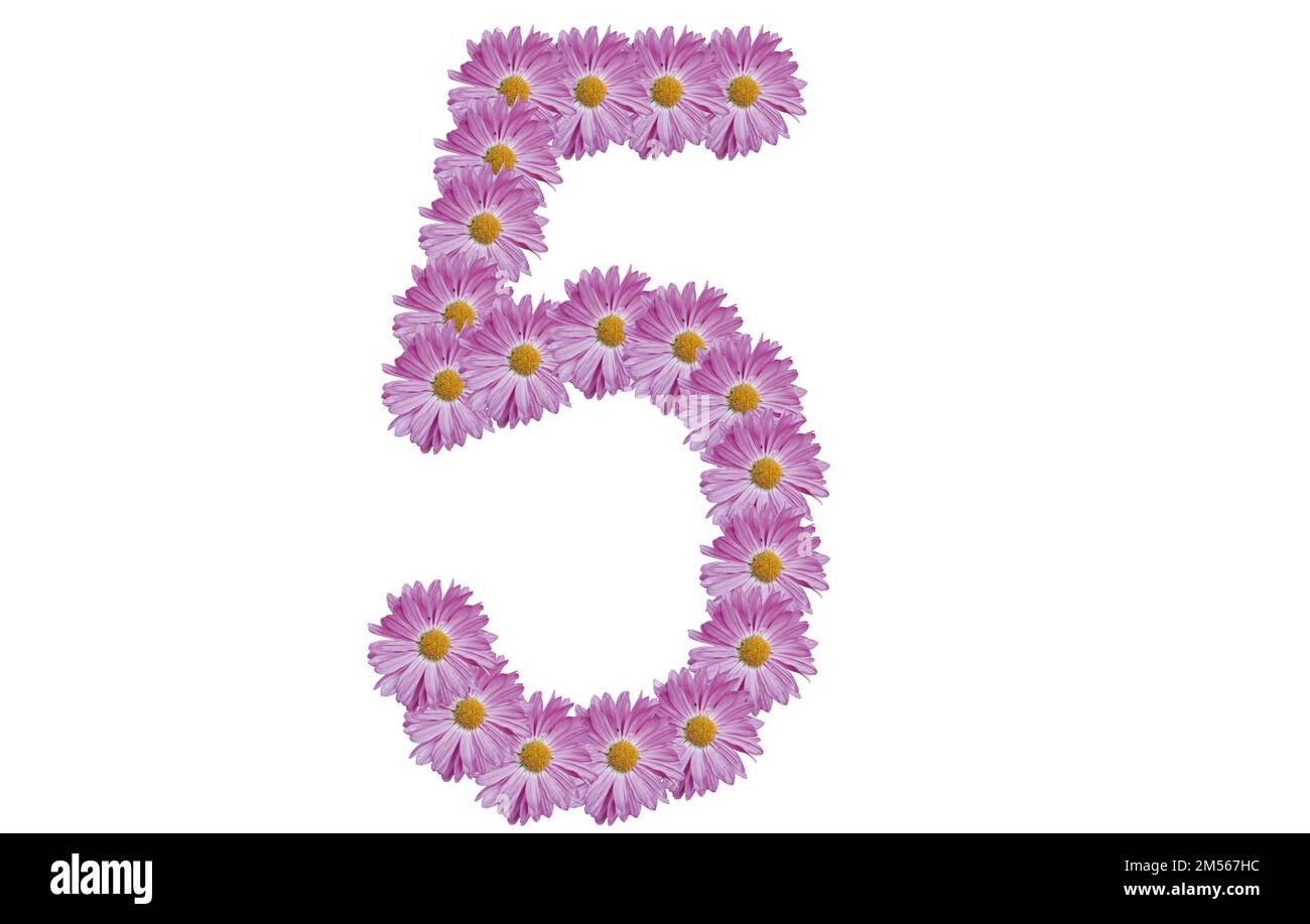 Number five made with pink flower isolated on white background. Spring ...