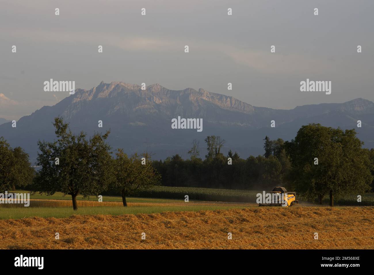 Getreideernte vor Pilatus Stock Photo