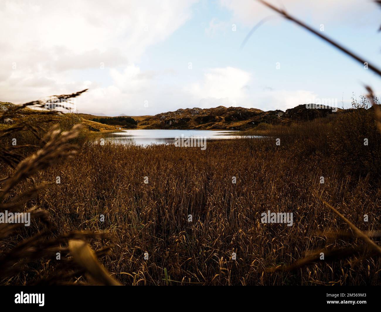 Dried water body hi-res stock photography and images - Alamy