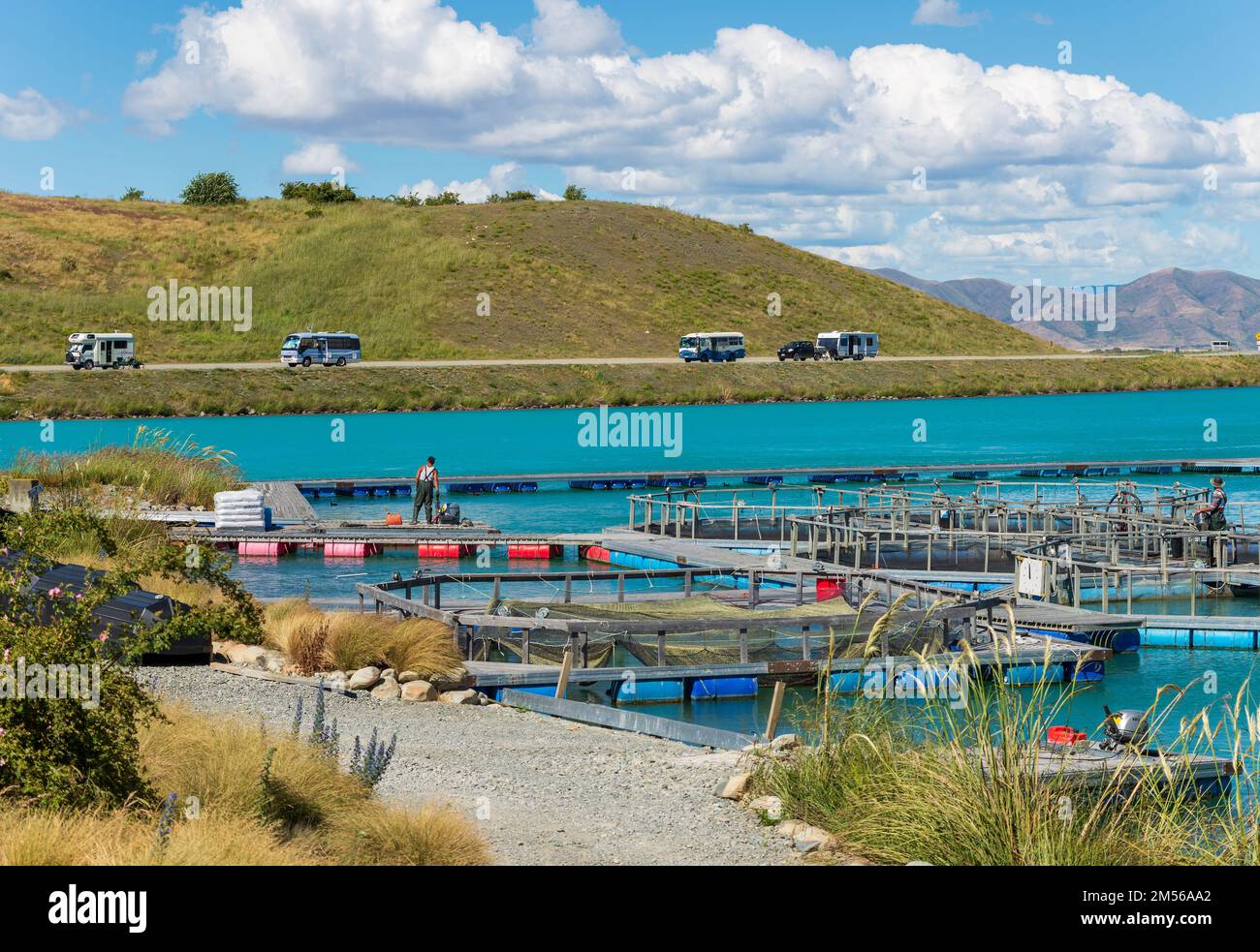 The High Country Salmon farm on Wairepo Arm of Lake Ruataniwha near