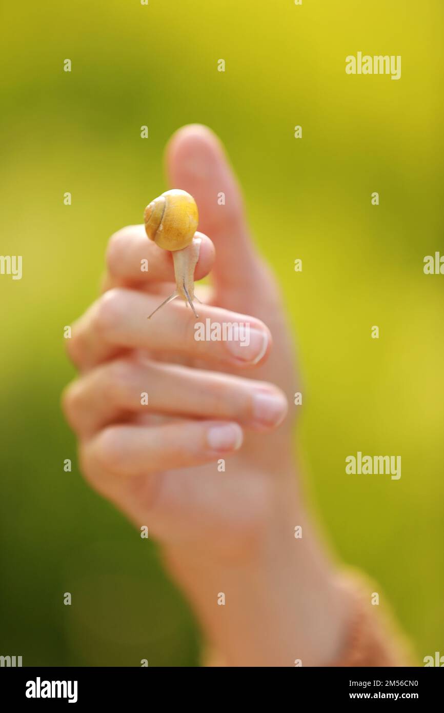A small snail on the finger on green nature background, snail slime
