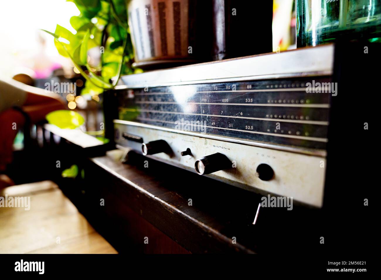 Old Retro radio on wooden stand with green plants in background Stock Photo