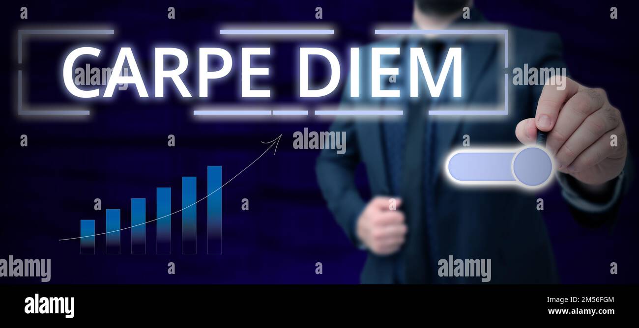 Conceptual display Carpe Diem. Business overview public festival which