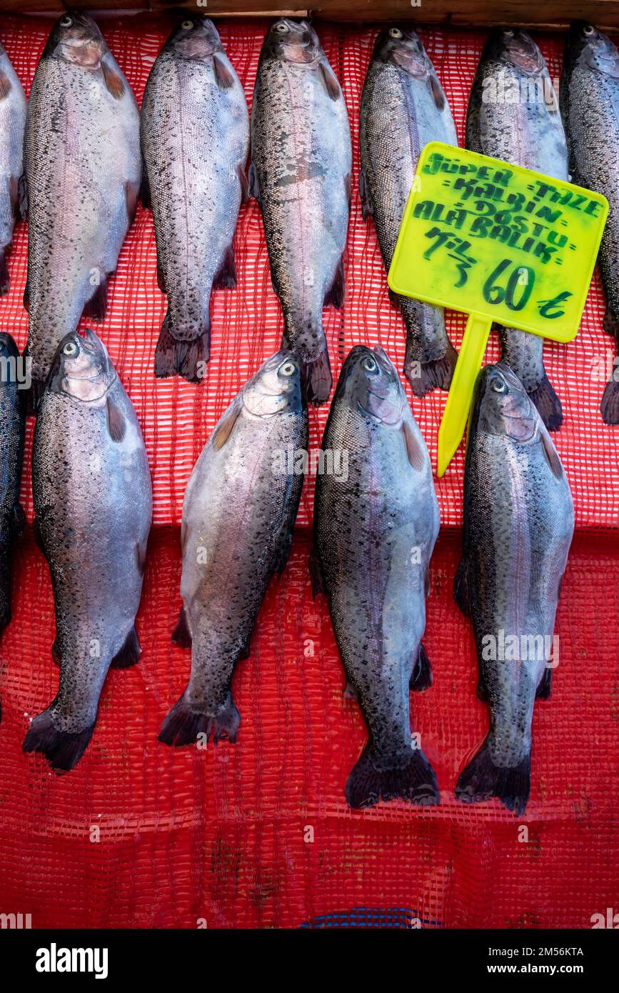 open air fish market , many fish for sale Stock Photo Alamy