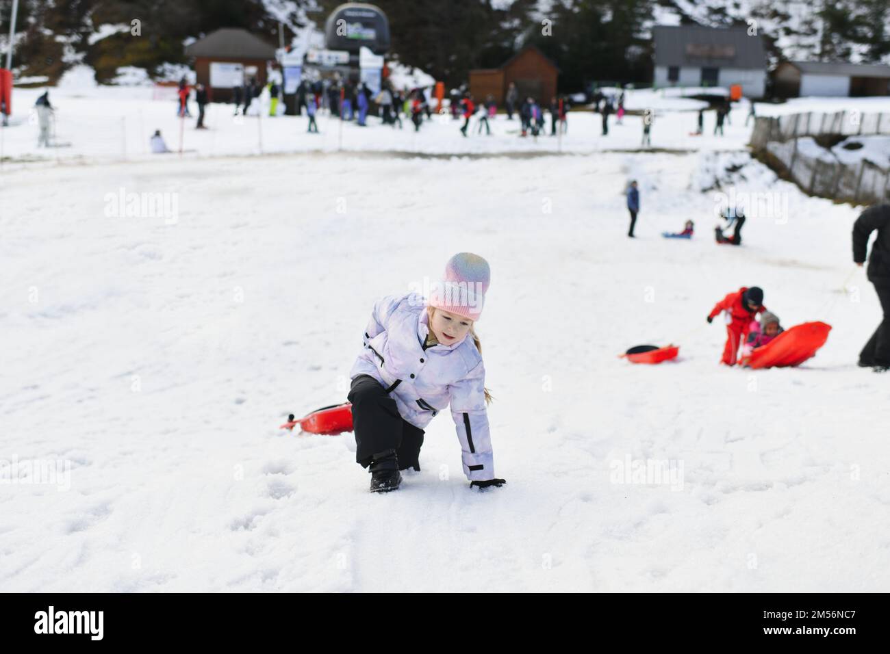 Bob sledding hi-res stock photography and images - Alamy