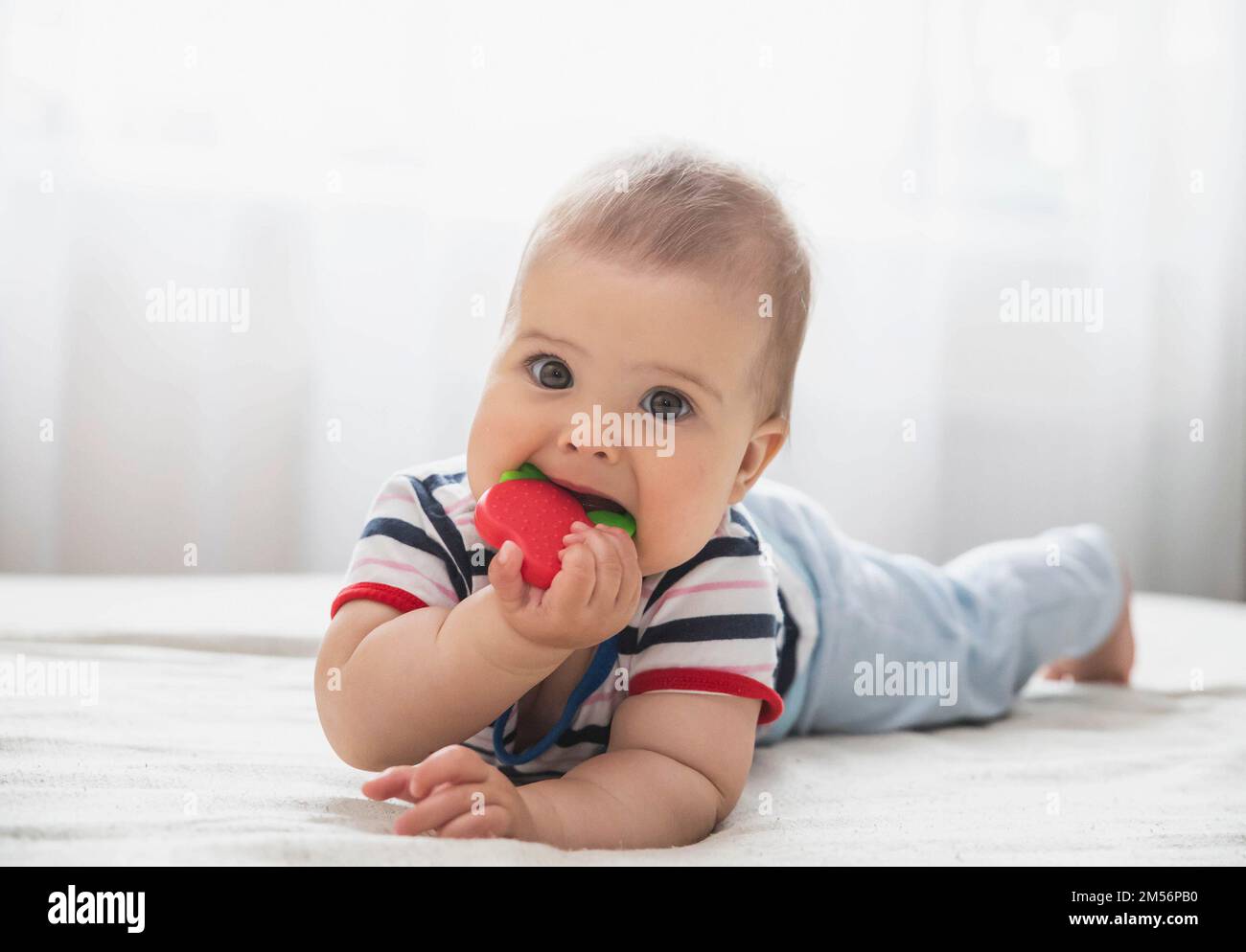 baby is nibble a rubber toy because the teeth are being cut Stock Photo