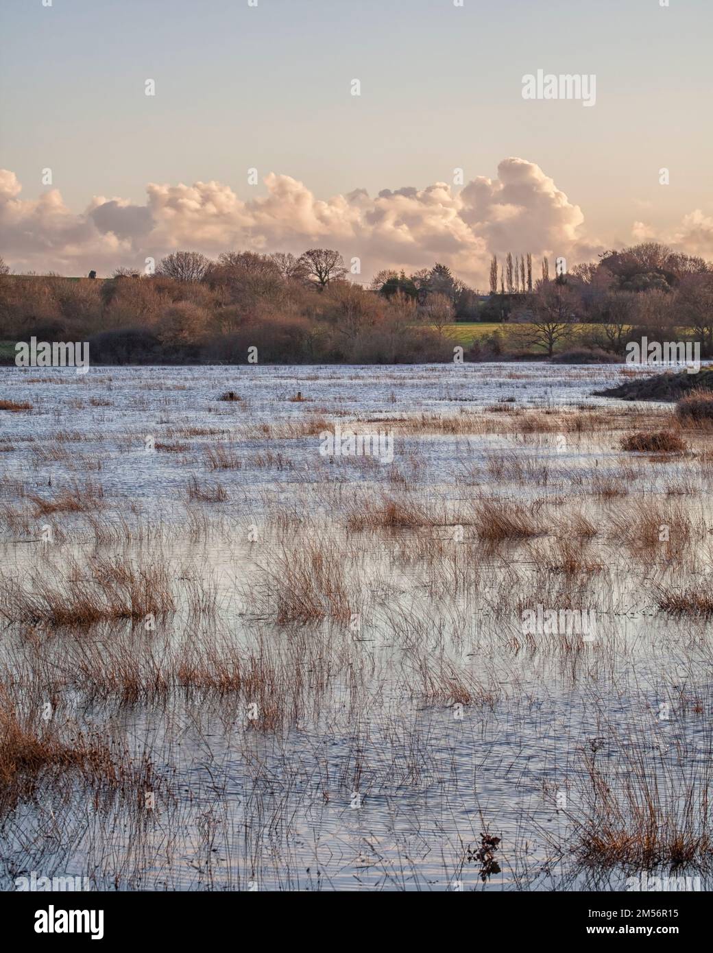 Flood plains of River Adur in Sussex Stock Photo