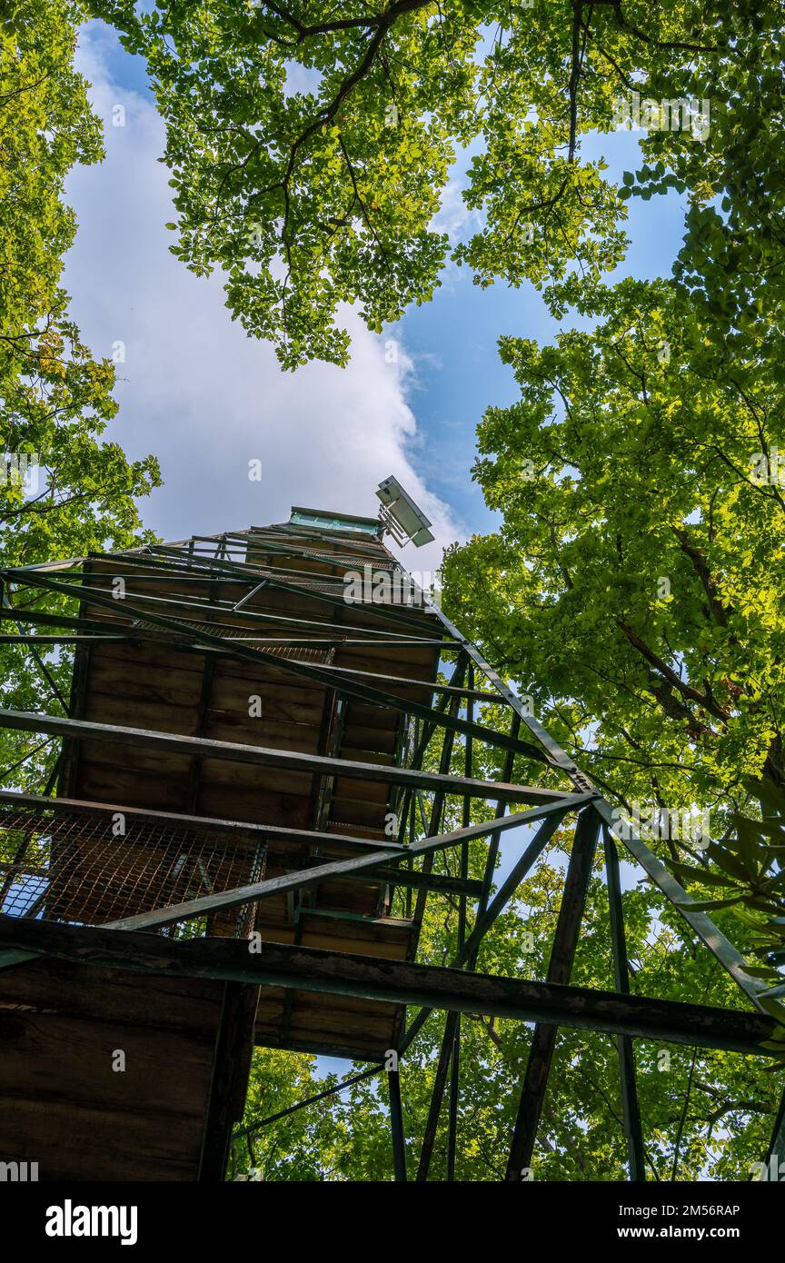 Historic Fire Tower 9 Cook Forest State Park,Pennsylvania looking straight up Stock Photo