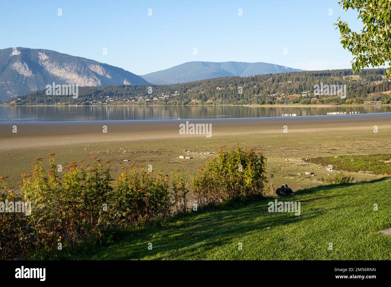Shuswap Lake, Salmon Arm Wharf, Canada at sunset Stock Photo Alamy