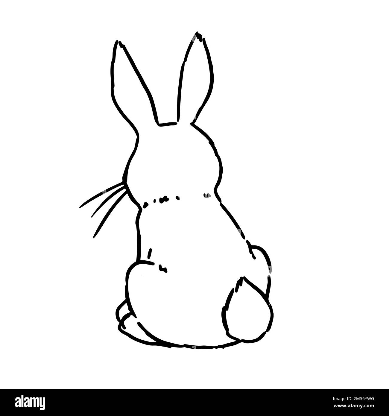 Vector coloring book illustration. Cute Hand Drawn Bunny isolatet on wite background Stock Vector