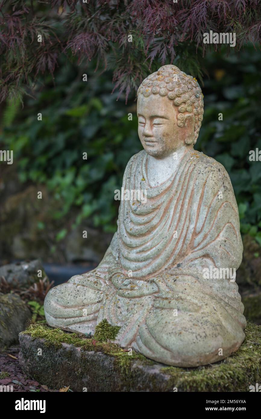 Buddafigur hires stock photography and images Alamy