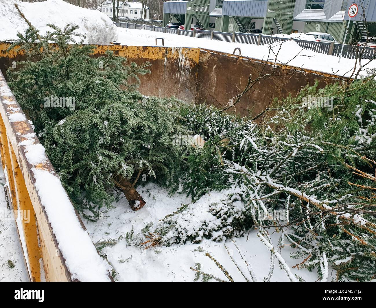 Tallinn, Estonia - January 22, 2022: Large garbage container on a city street for people to bring their old Christmas trees in. Free municipal service Stock Photo