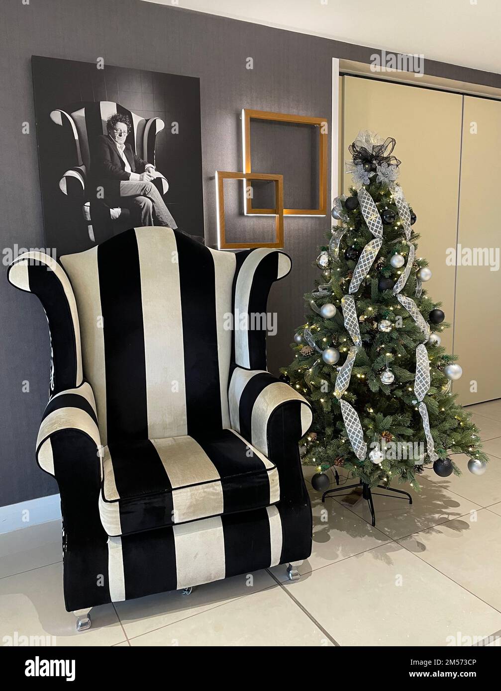 Marco Pierre White's chair at his restaurant in Milton Keynes, with a Christmas tree. It is a Mr McQueen wing back armchair, made by Richard James. Stock Photo
