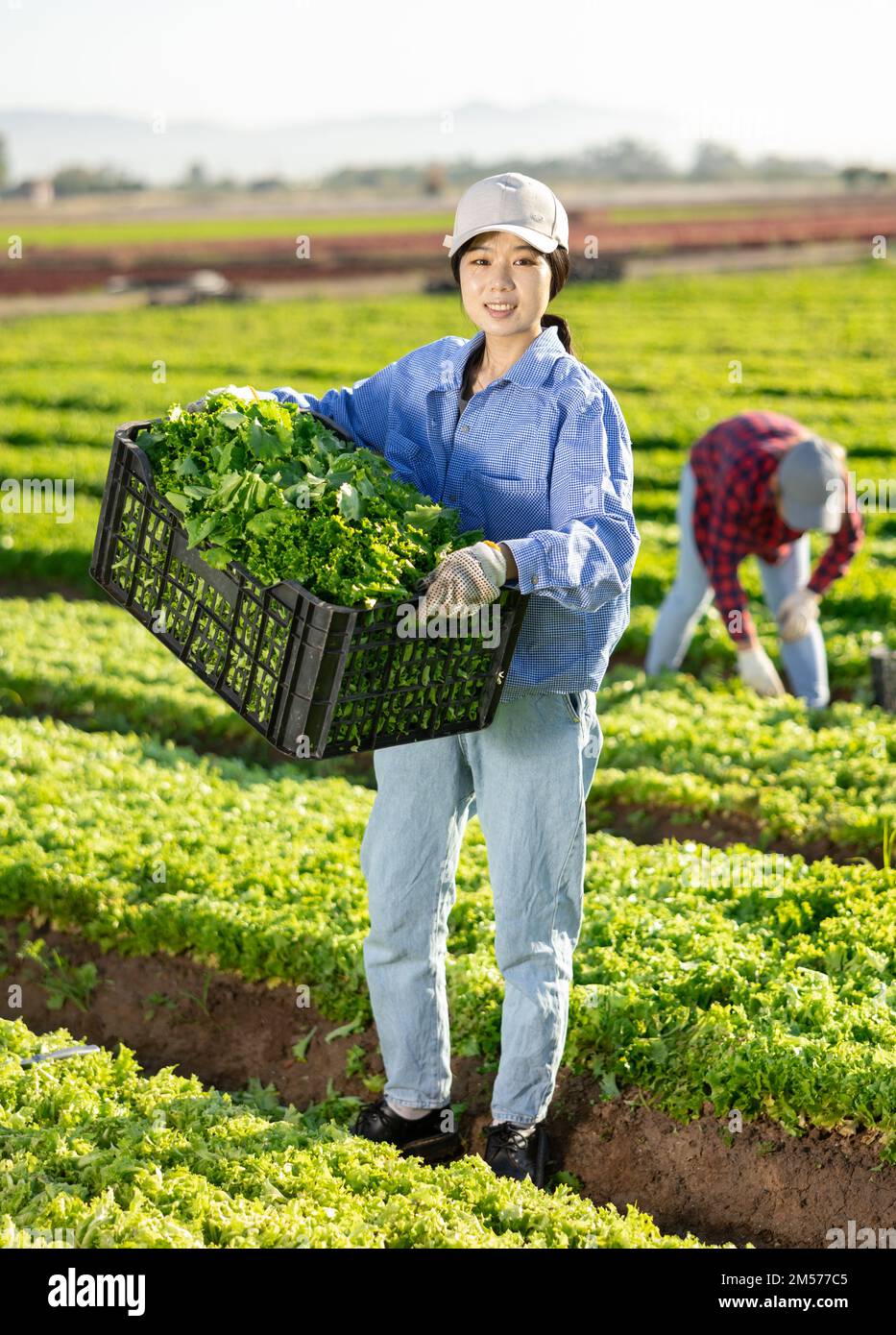 Farmer woman carries box fresh hi-res stock photography and images - Alamy