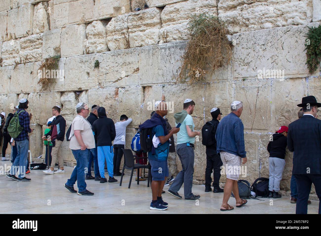 10 Nov 2022 Main stream Jews and general devotees visit the Western Wall Plaza in Jerusalem Israel for prayers, readings and various other devotions Stock Photo