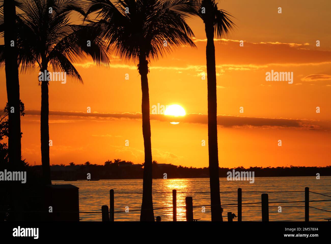 Florida Keys Sunset with Palm Trees Stock Photo Alamy