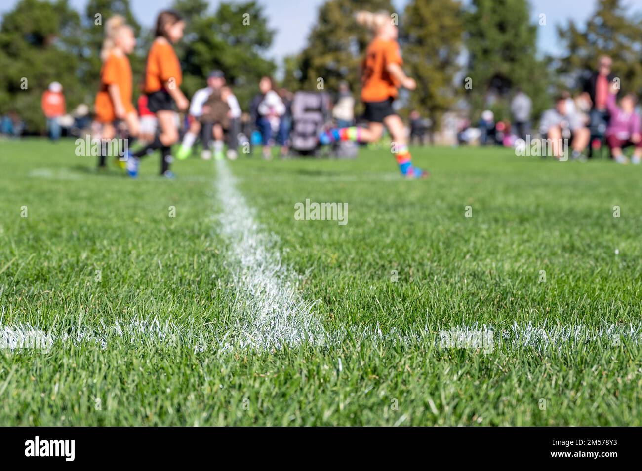 Selective focus on ground level view of soccer field center line with